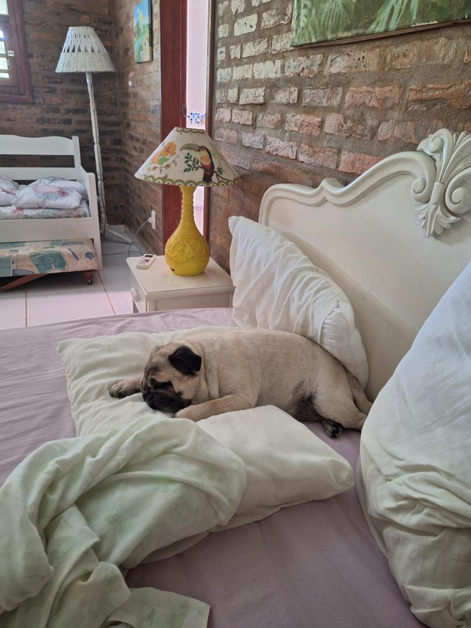 Casas Lindas No Paraiso! Costa Dourada Εξωτερικό φωτογραφία