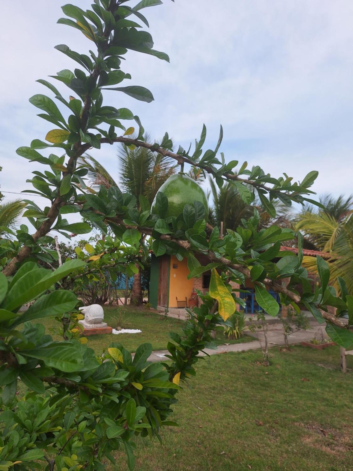 Casas Lindas No Paraiso! Costa Dourada Δωμάτιο φωτογραφία